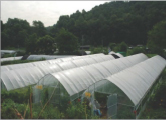 APPLICATION AREA: Farm Monitoring