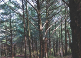 APPLICATION AREA: Soil Monitoring