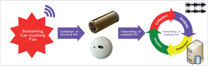 Sound & Fire Identification & Analysis Process
